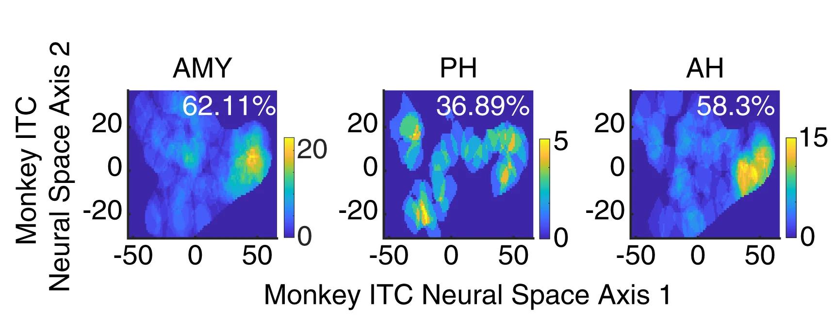 Open access visualization of Heatmap, Tuning Region, MTL Region