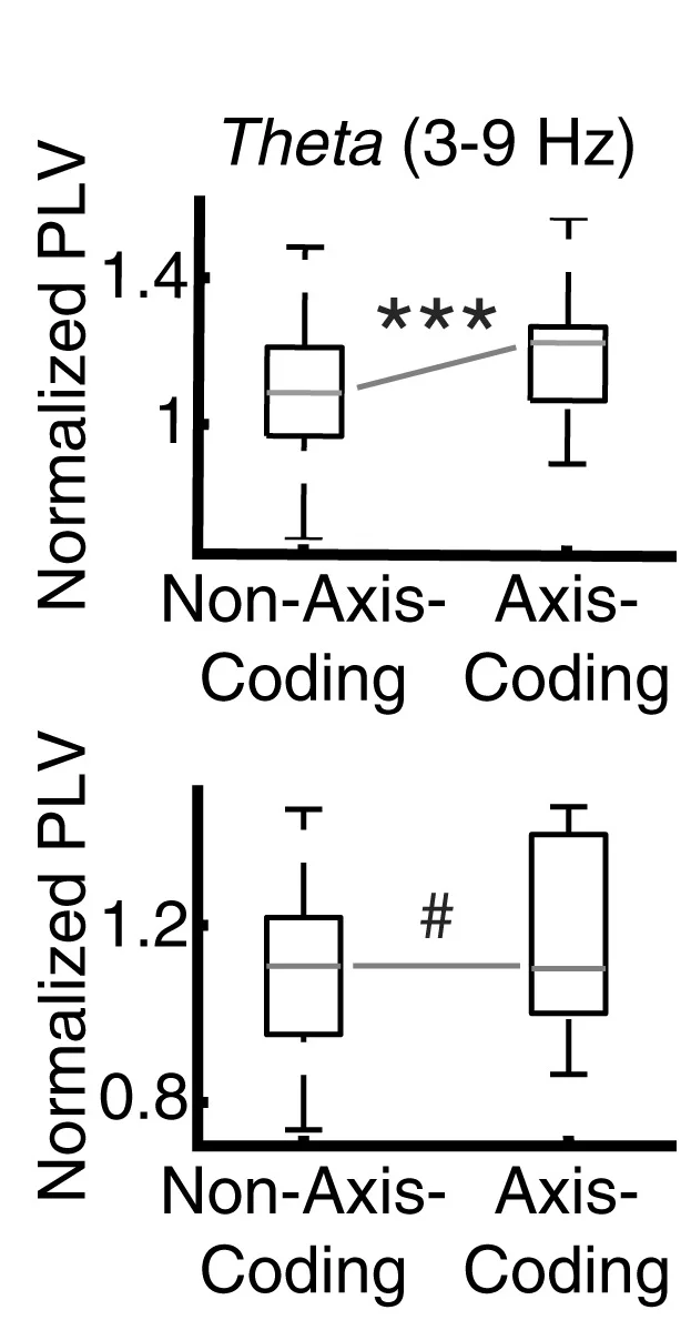 Open access visualization of Box Plot, Average Phase-Locking Value, Theta Frequency, VTC-Amygdala, VTC-AH