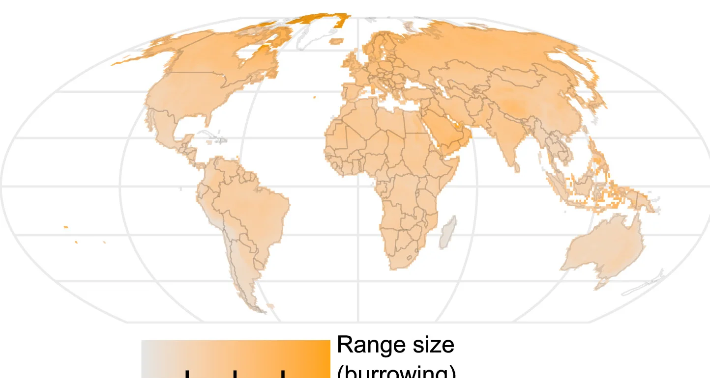 Open access visualization of Geo Map, Range Size, Burrowing Species, Non-Burrowing Species, Assemblages