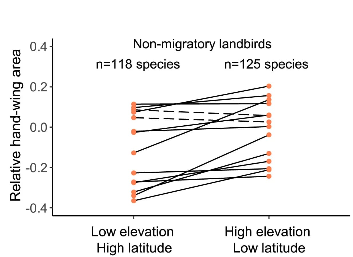 Open access visualization of Line Plot, Scatter Plot, Climatic Conditions, Elevational Gradients, Wing Morphology
