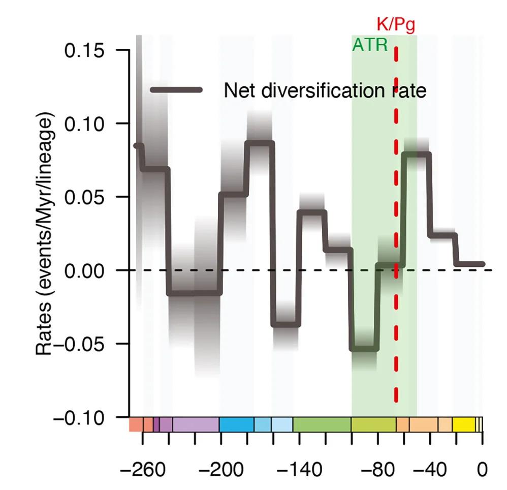 Open access visualization of Line Plot, Line Step, Density Plot, Net Diversification, Origination Rates