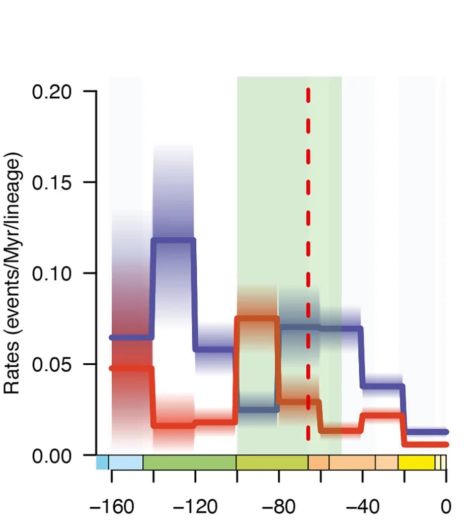 Open access visualization of Line Plot, Line Step, Bayesian Estimates, Origination Rates, Hymenoptera