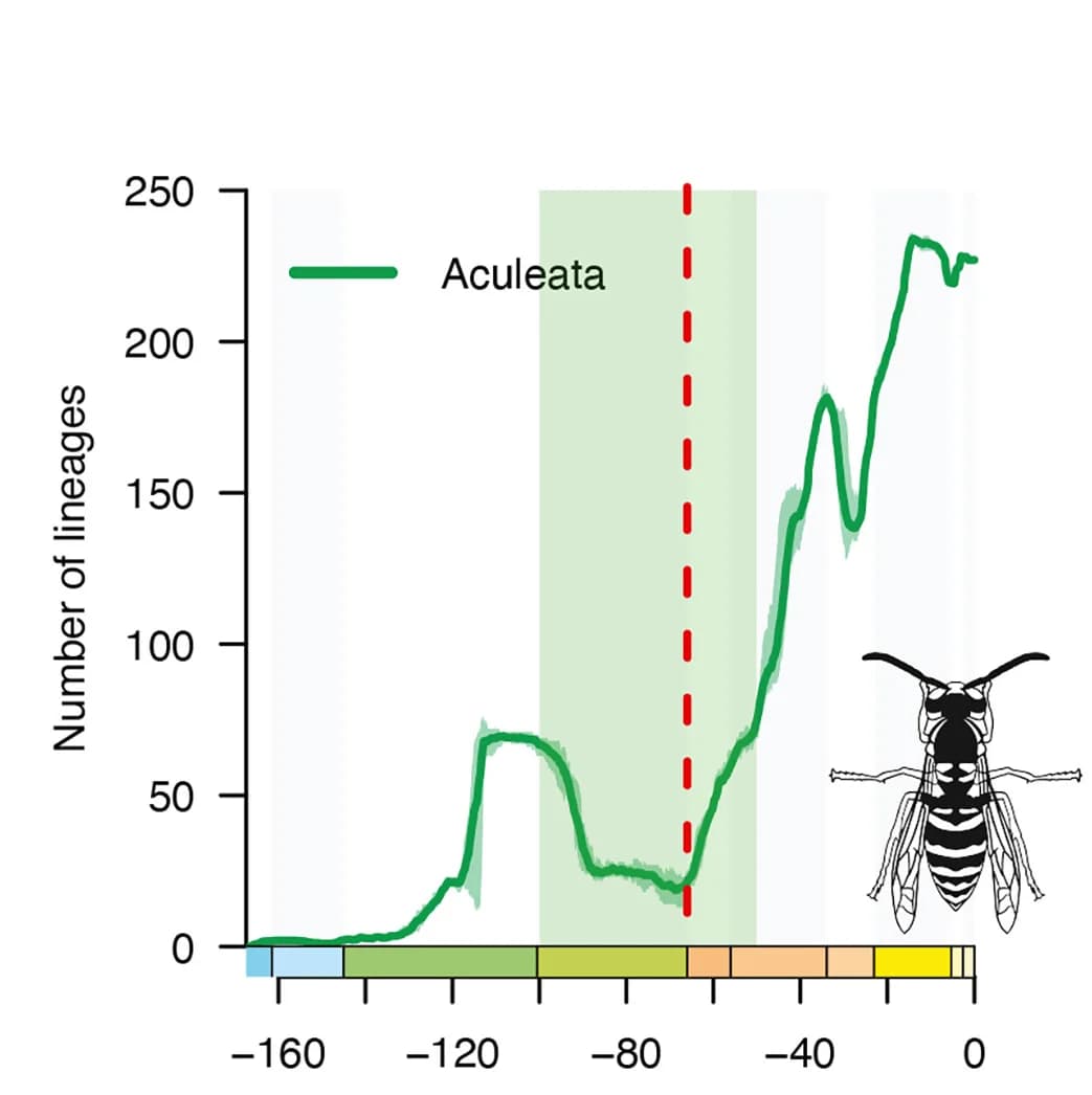 Open access visualization of Line Plot, Error Bars, Diversity, Genera, Hymenoptera