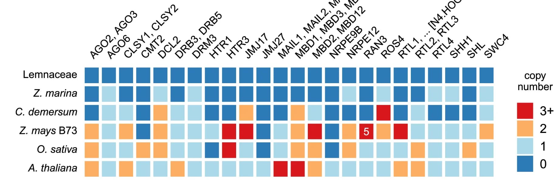 Open access visualization of Heatmap, Hierarchical Ortholog Groups, Small RNA, DNA Methylation, Gene Families