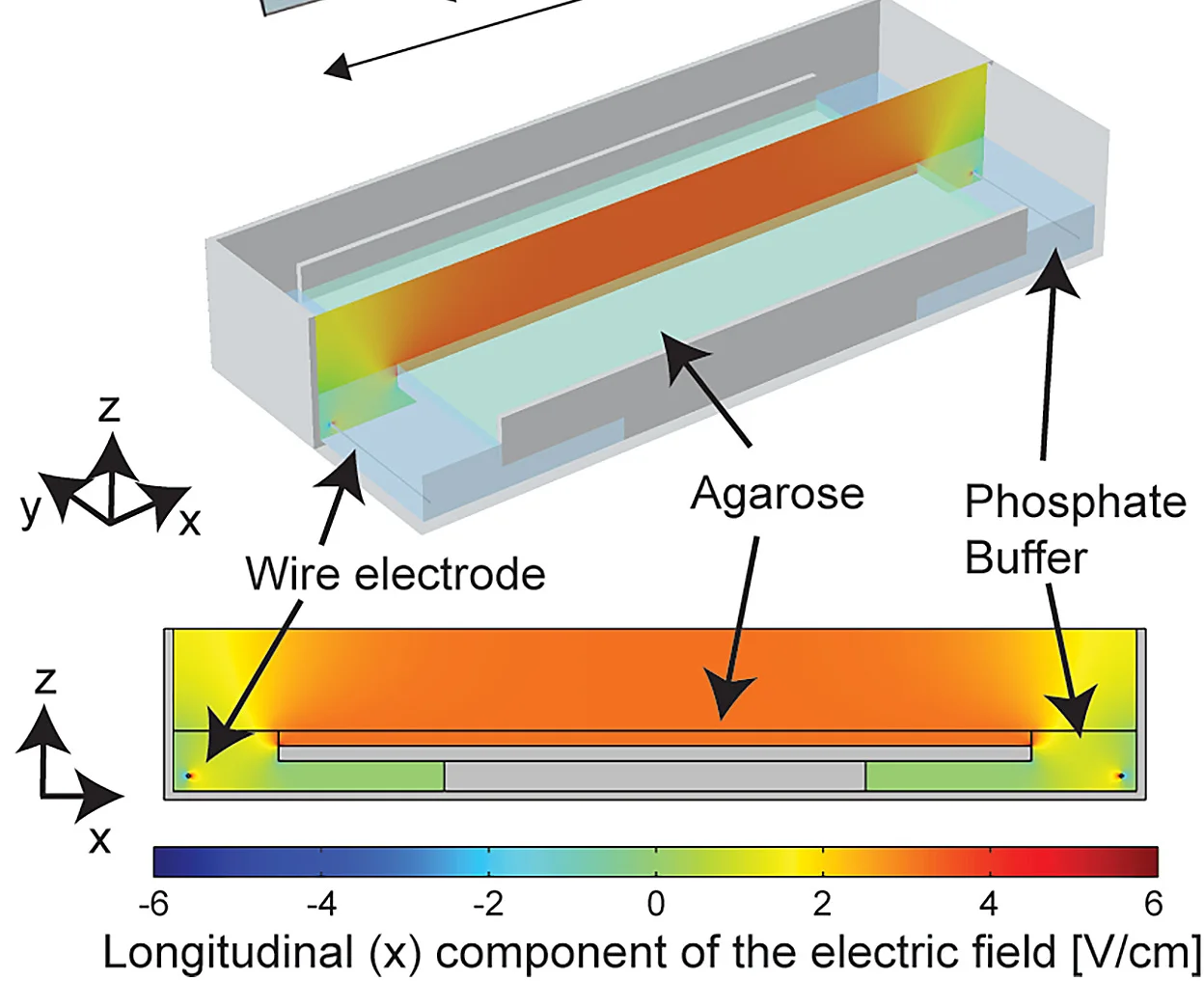 Open access visualization of Heatmap, Finite Element Simulation, Static Electric Field, Electric Field Strength, Agarose Slab