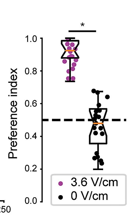 Open access visualization of Box Plot, Scatter Plot, Preference Index, Electric Field, Control