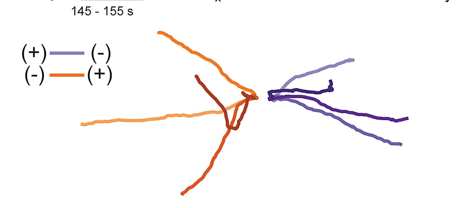 Open access visualization of Line Plot, Trajectory, Cathode, Experiment