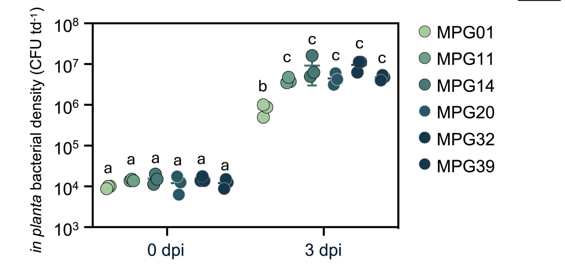 Open access visualization of Scatter Plot, Error Bars, Bacterial Densities, MPG Isolates, Marchantia Polymorpha