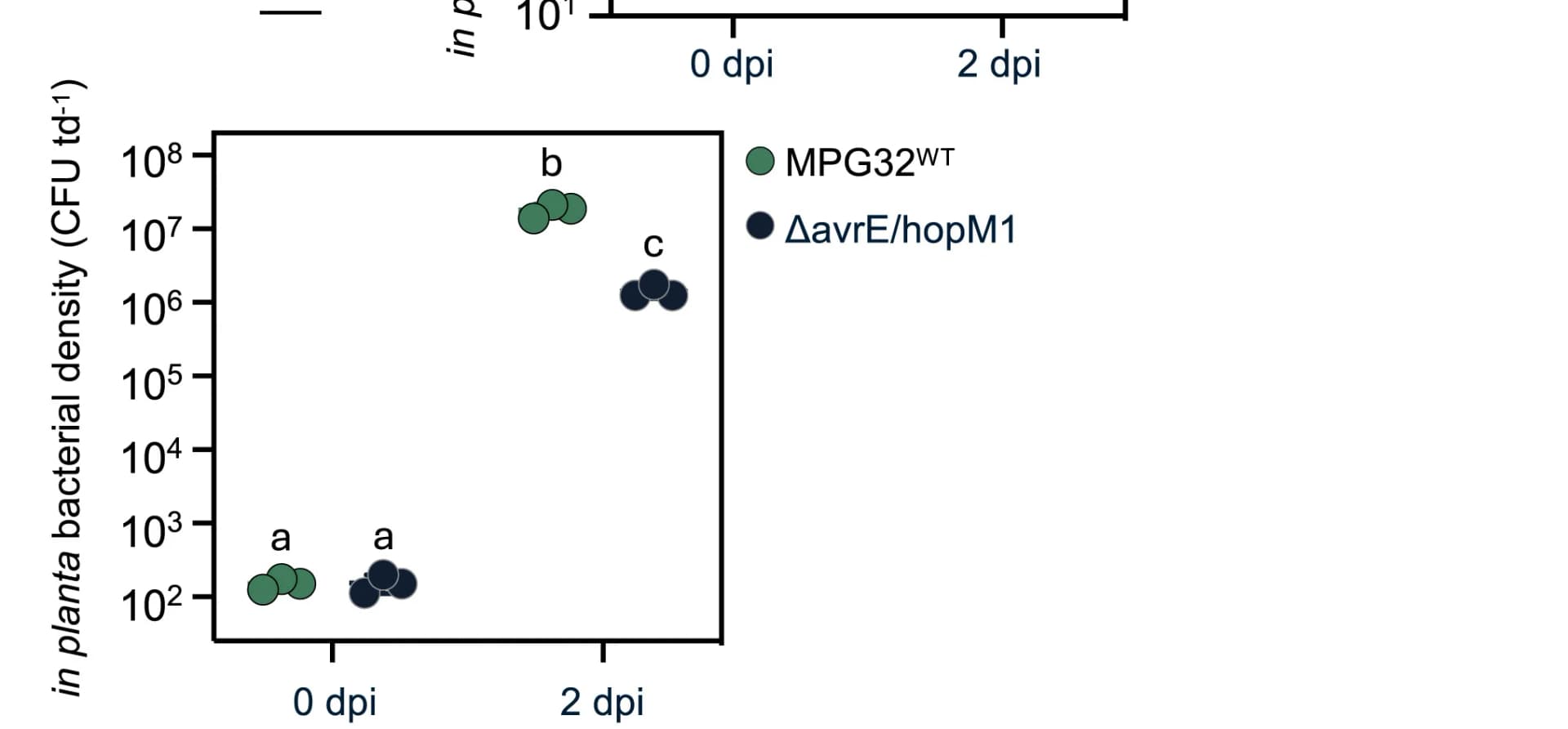 Open access visualization of Scatter Plot, Bacterial Densities, MPG32WT, ΔavrE/hopM1 Double Mutant, Nicotiana Benthamiana