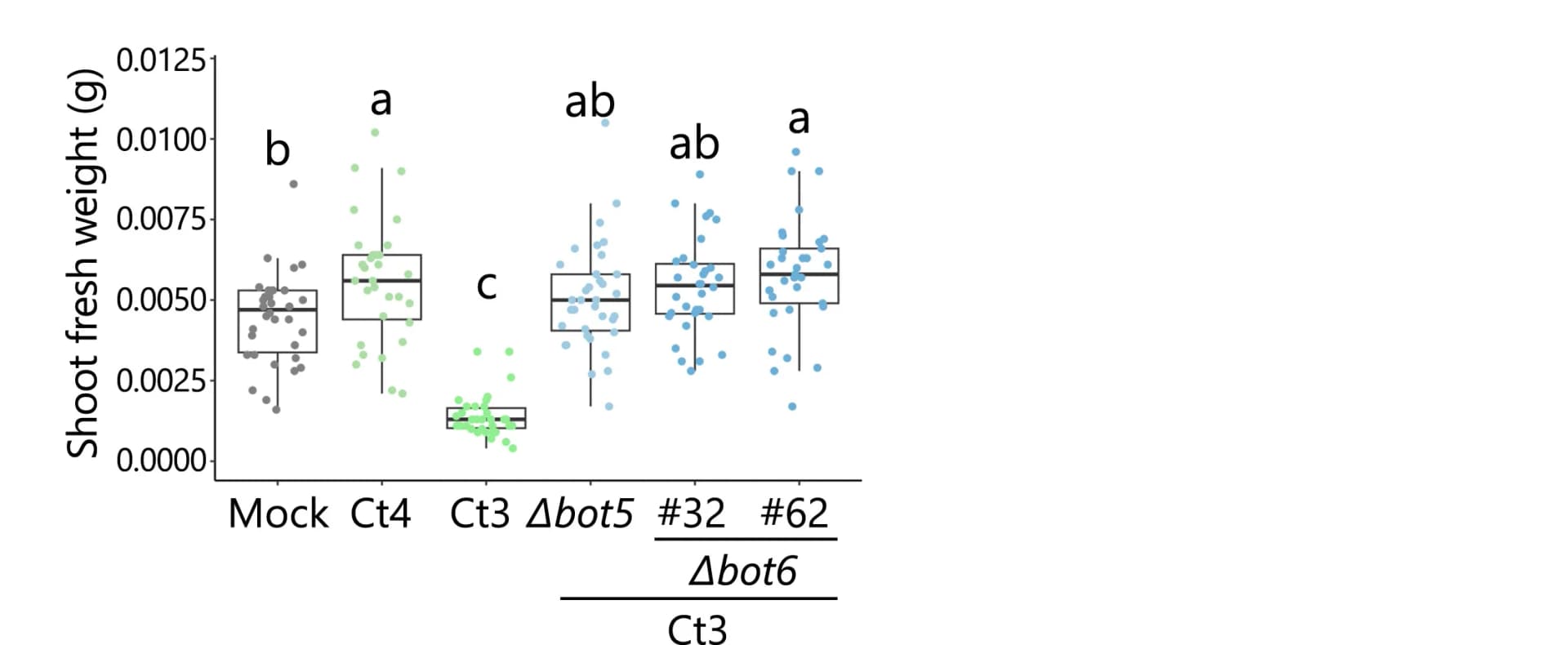 Open access visualization of Violin Plot, Box Plot, Scatter Plot, A. thaliana, Shoot Fresh Weight
