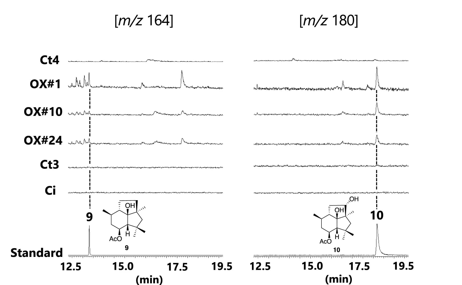 Open access visualization of Line Plot, CtBOT6 Expression, Biosynthetic Intermediates, Botrydial, GC-MS Profiles