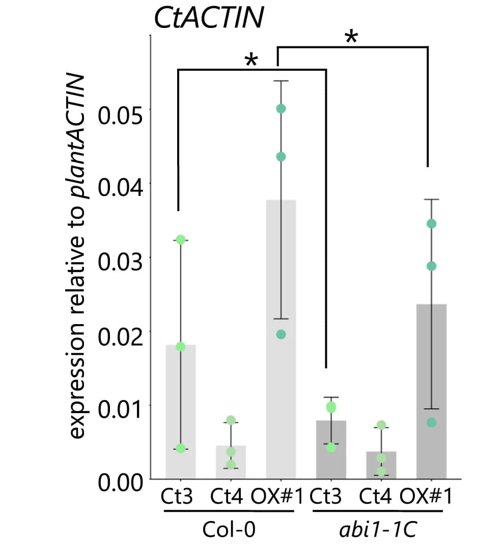Open access visualization of Bar Plot, Error Bars, Scatter Plot, Fungal Biomass, Roots
