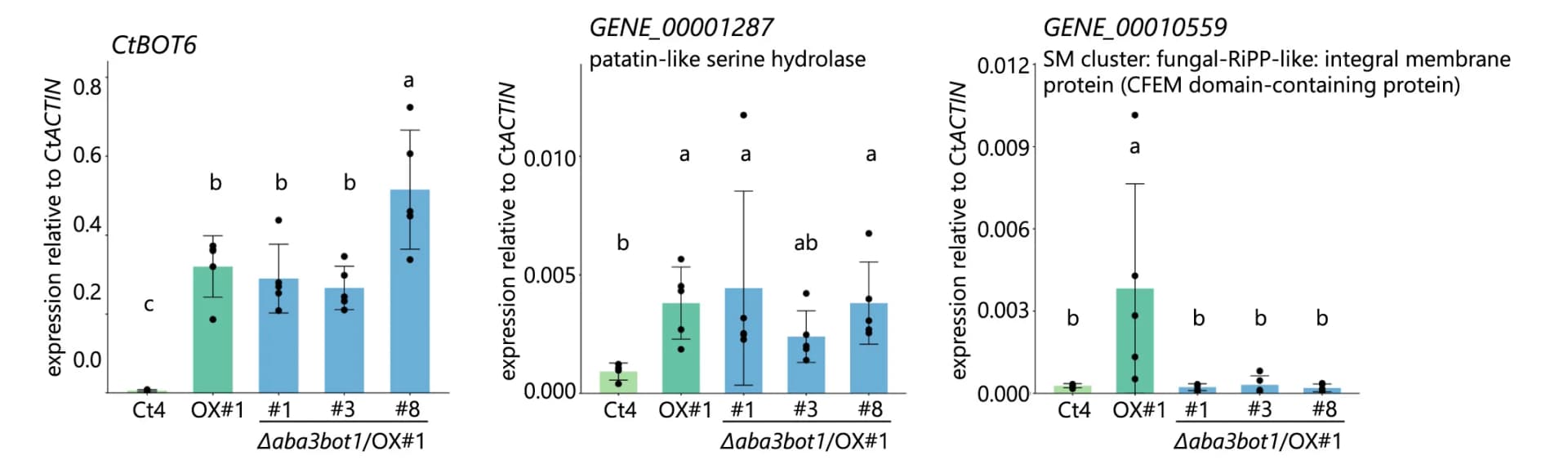 Open access visualization of Bar Plot, Error Bars, Scatter Plot, Gene Expression, RNA-Seq