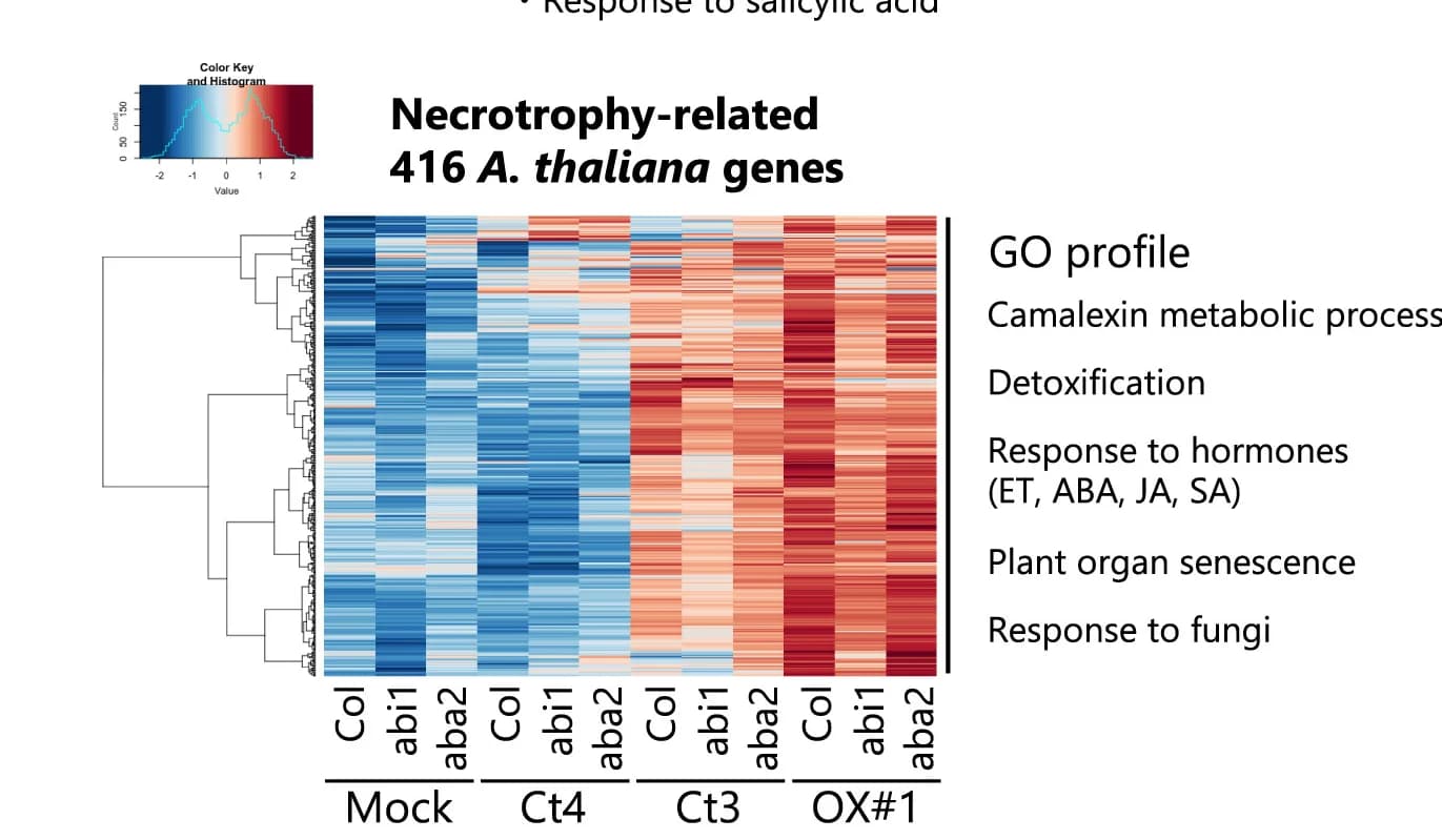 Open access visualization of Heatmap, Clustered, Histogram, Transcript Profiling, Genes