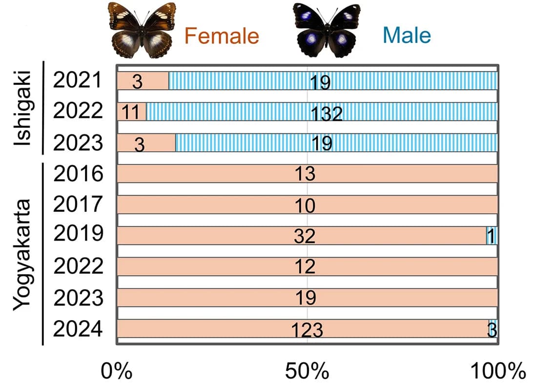 Open access visualization of Bar Plot, Stacked Bar Plot, Sex Ratio, Butterflies, Field-collected