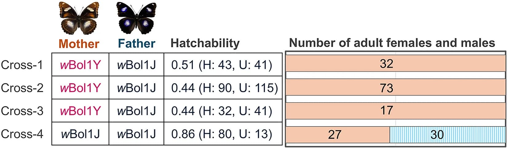 Open access visualization of Bar Plot, Genotype, Wolbachia, Hb-oscar gene, Hatchability