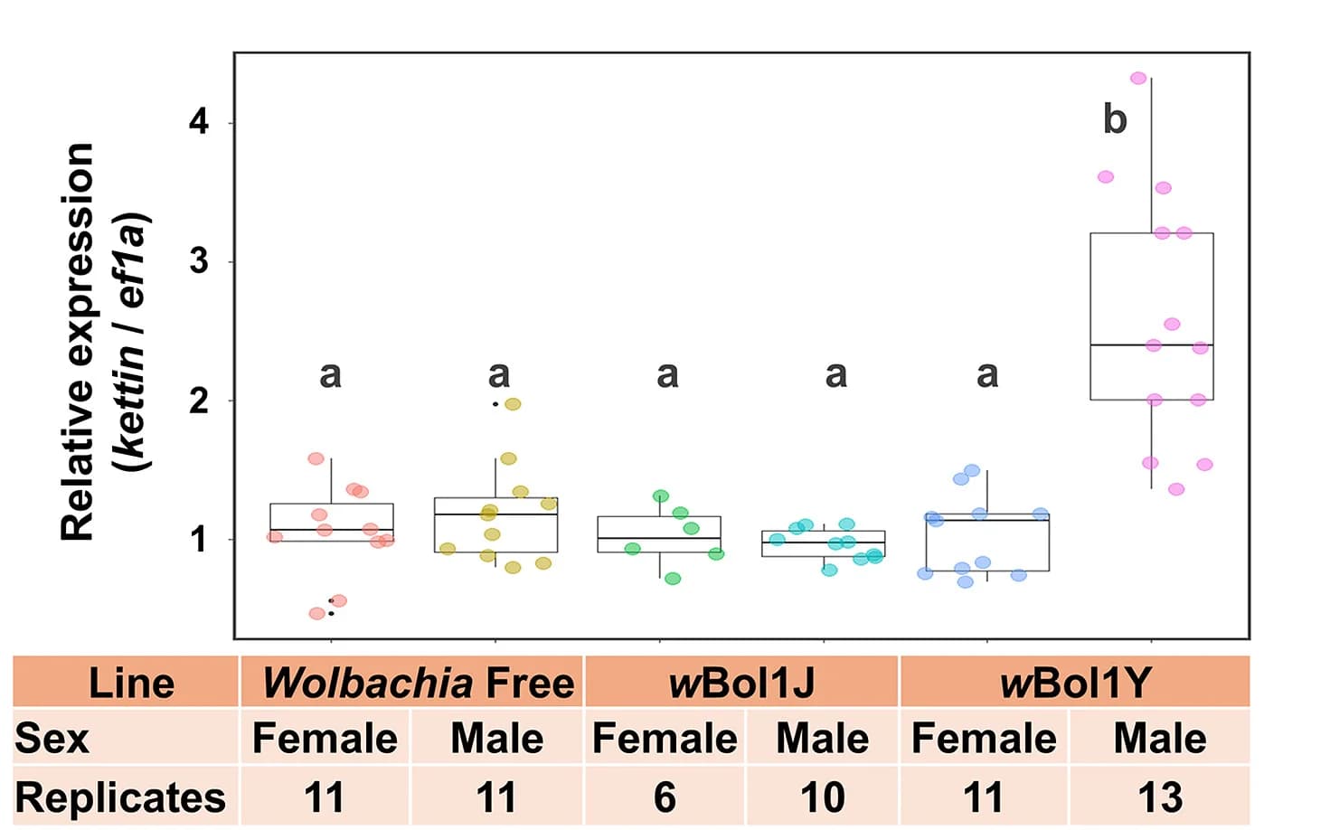 Open access visualization of Box Plot, Scatter Plot, Relative Expression, Z-linked ketting gene, H. bolina Groups