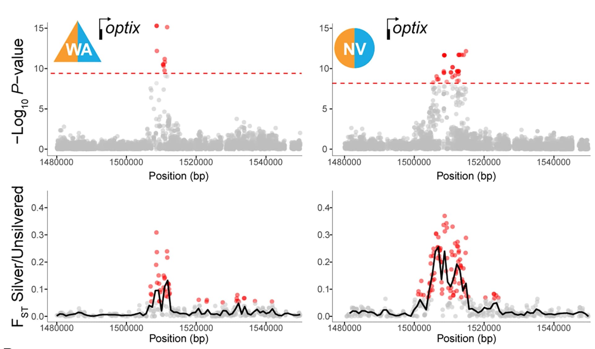 Open access visualization of Scatter Plot, Line Plot, SNPs, Transcription Start Site, Silver Individuals