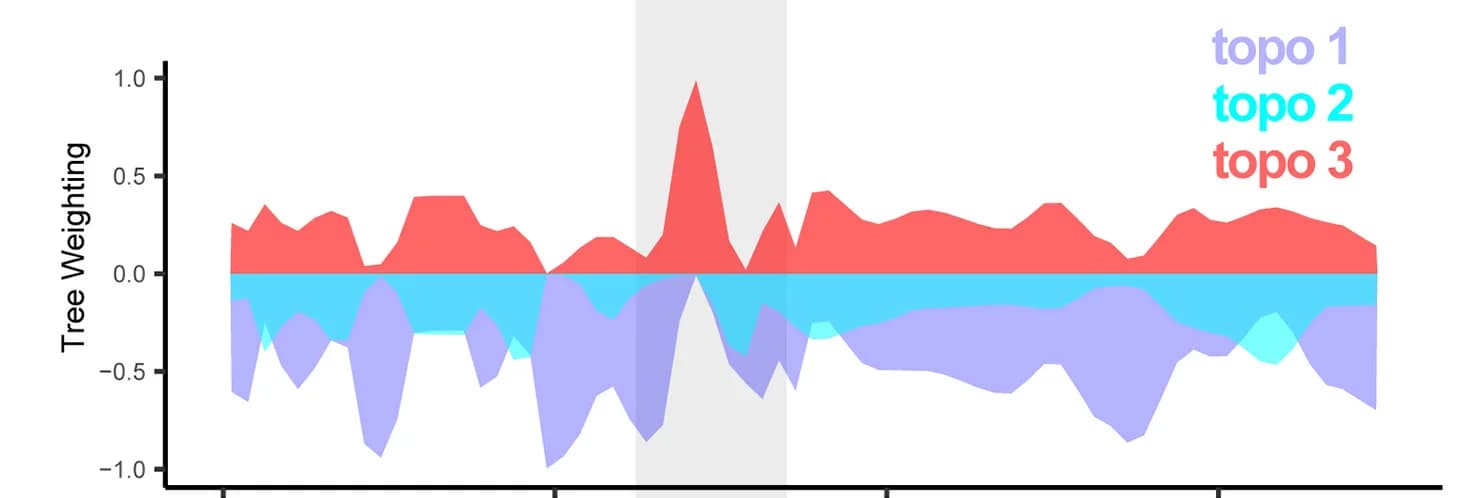 Open access visualization of Line Plot, Stacked Area Plot, Phylogenetic Weighting, Shared Alleles, S. hydaspe