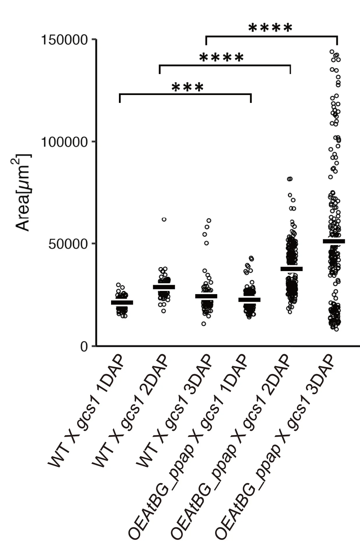 Open access visualization of Scatter Plot, Seed Size, Wild Type, Mutant, Overexpression Line