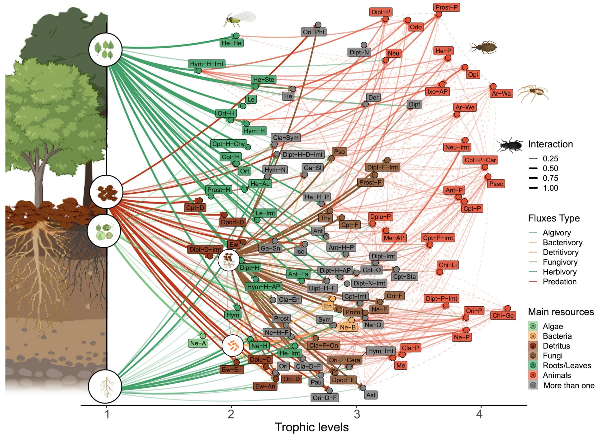Open access visualization of Network, Pathway, Trophic Level, Biomass Distribution, Consumer Nodes