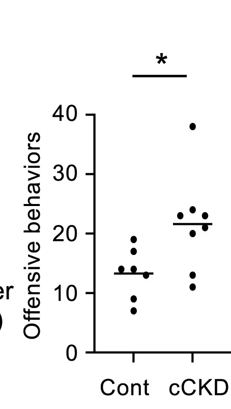 Open access visualization of Scatter Plot, Attack Number, Cont Mouse, cCKD Mouse, C3H Mouse