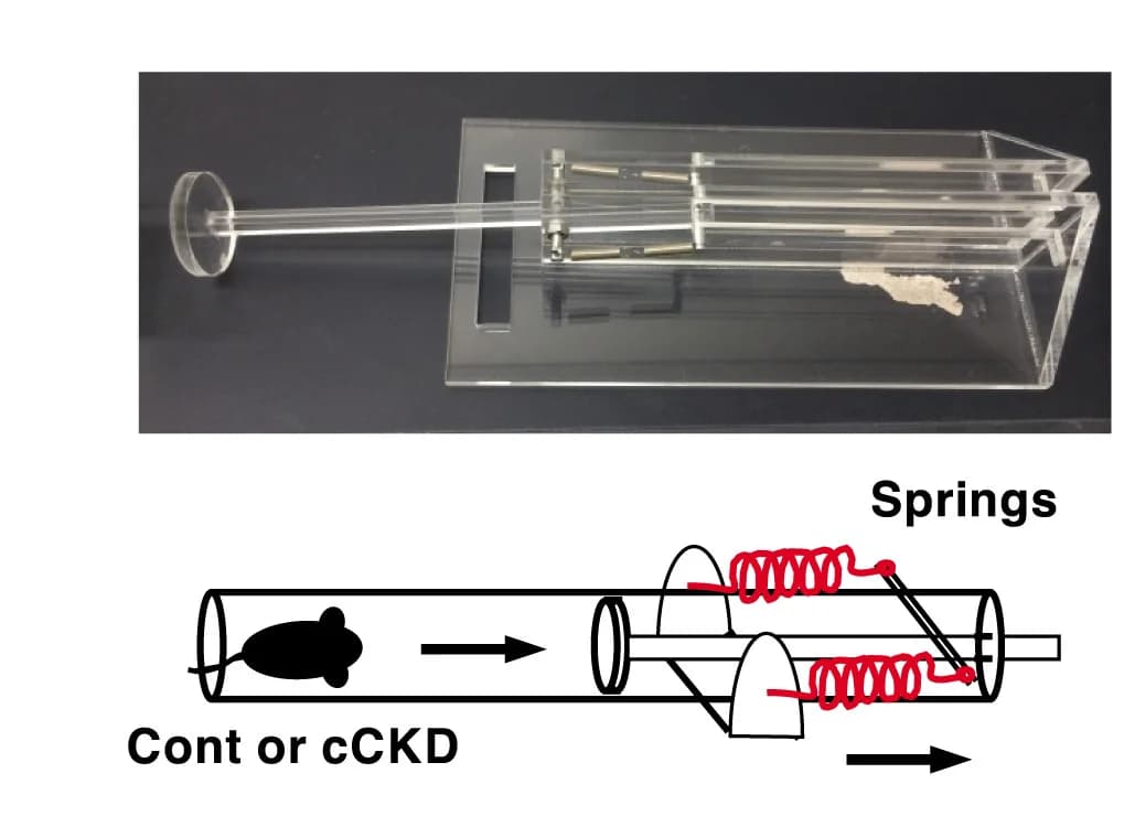 Open access visualization of Illustration, Photo, Obstacle-Pushing Test, Apparatus
