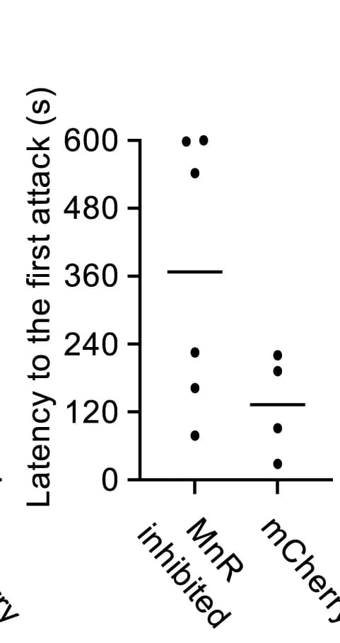 Open access visualization of Scatter Plot, Latency to First Attack, Resident Intruder Paradigm
