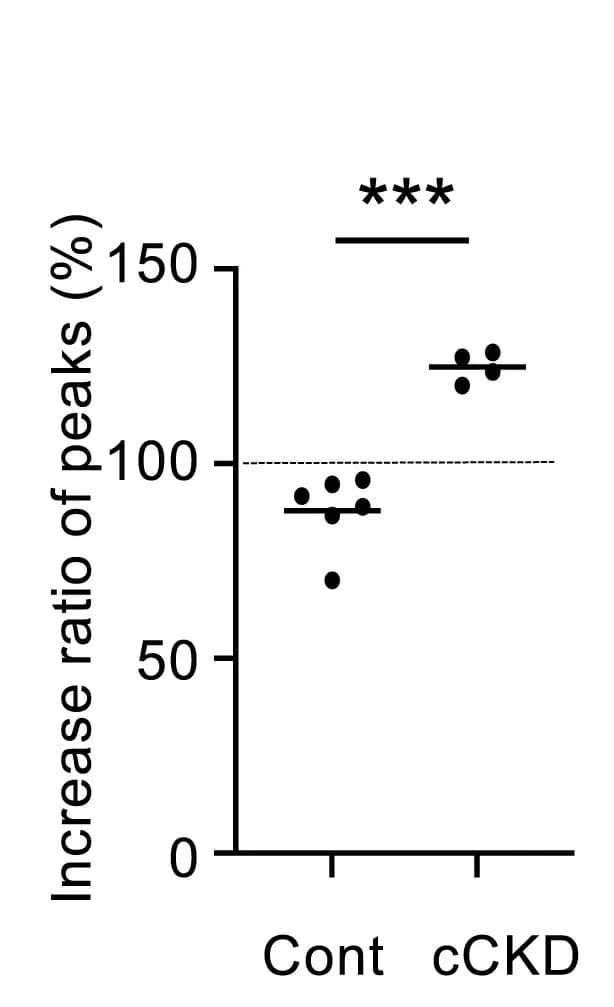 Open access visualization of Scatter Plot, Basal Activity, Intruder, Statistical Analysis, T Test