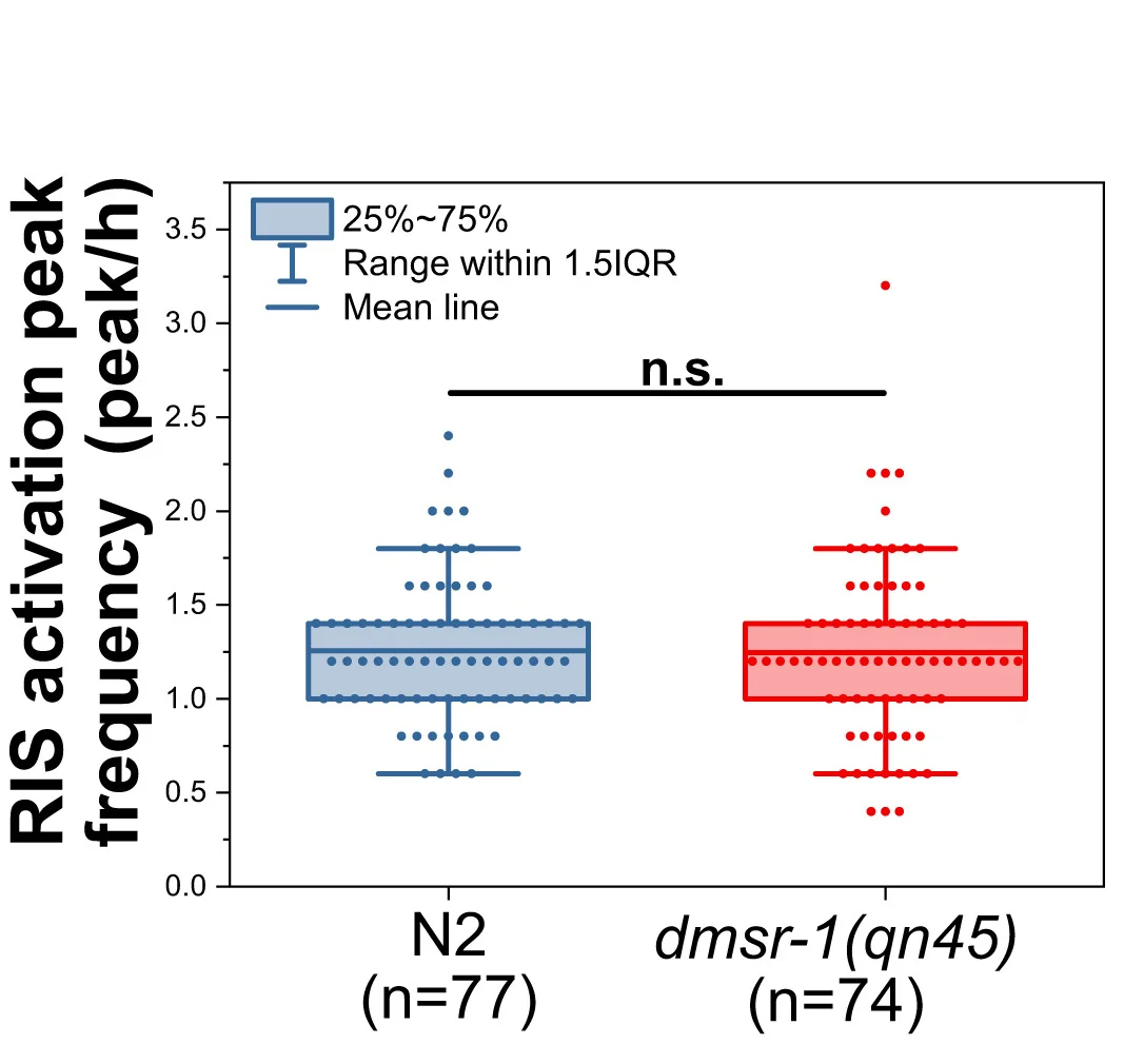 Open access visualization of Box Plot, Scatter Plot, RIS Activation, Sleep, Wilcoxon Rank-Sum Test