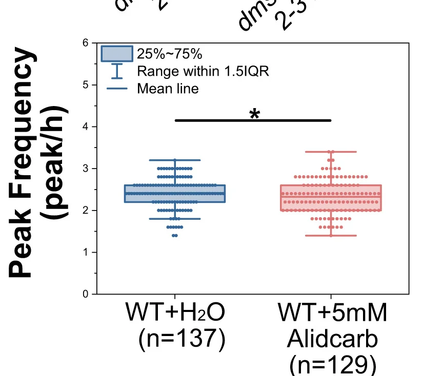 Open access visualization of Box Plot, Scatter Plot, RIS Calcium Activity, Aldicarb, RIS Activity