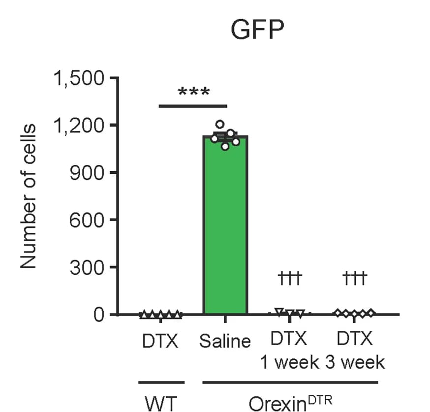 Open access visualization of Bar Plot, DTX, GFP-Expressing Neurons, Neuron Reduction