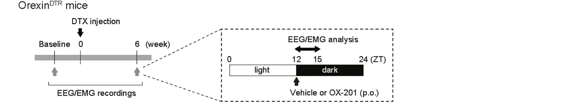 Open access visualization of Workflow, Illustration, OX-201, DTX, Vehicle