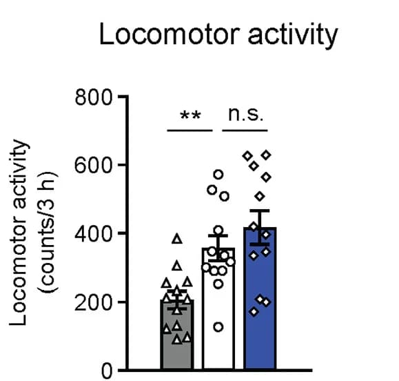 Open access visualization of Bar Plot, Error Bars, Scatter Plot, OX-201, Locomotor Activity