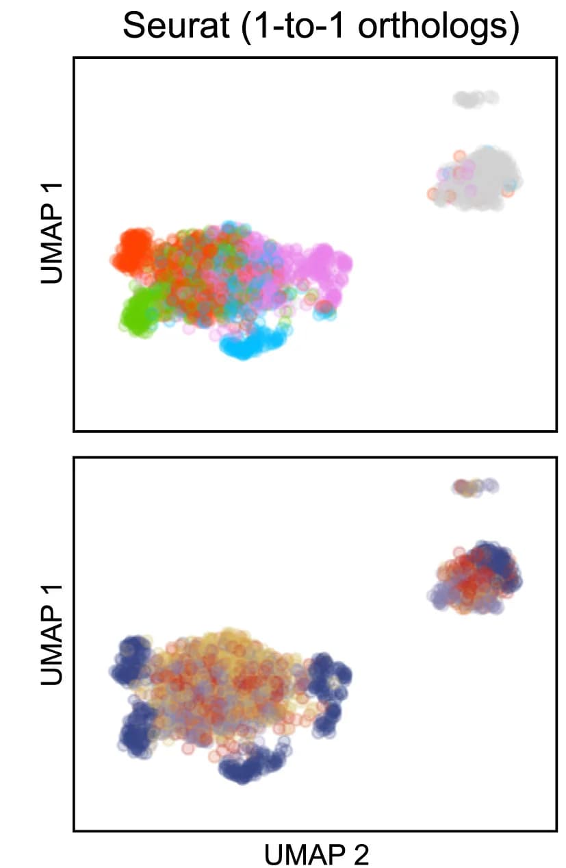 Open access visualization of Scatter Plot, UMAP, Cone Types, Rods, Single-cell Analysis