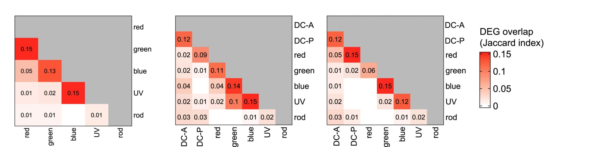 Open access visualization of Heatmap, Heatmaps, Jaccard Index, Markers, Zebrafish