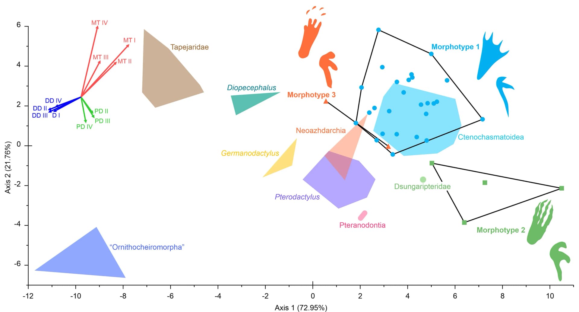 Open access visualization of Scatter Plot, PCA, Linear Discriminant Analysis, Pedal Proportions, Pterodactyloid