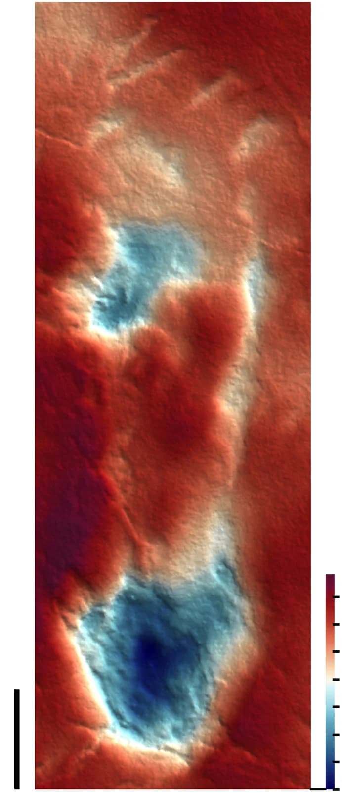 Open access visualization of Heatmap, Pteraichnus yanguoxiaensis, Footpads, Heel Pad, Height Map