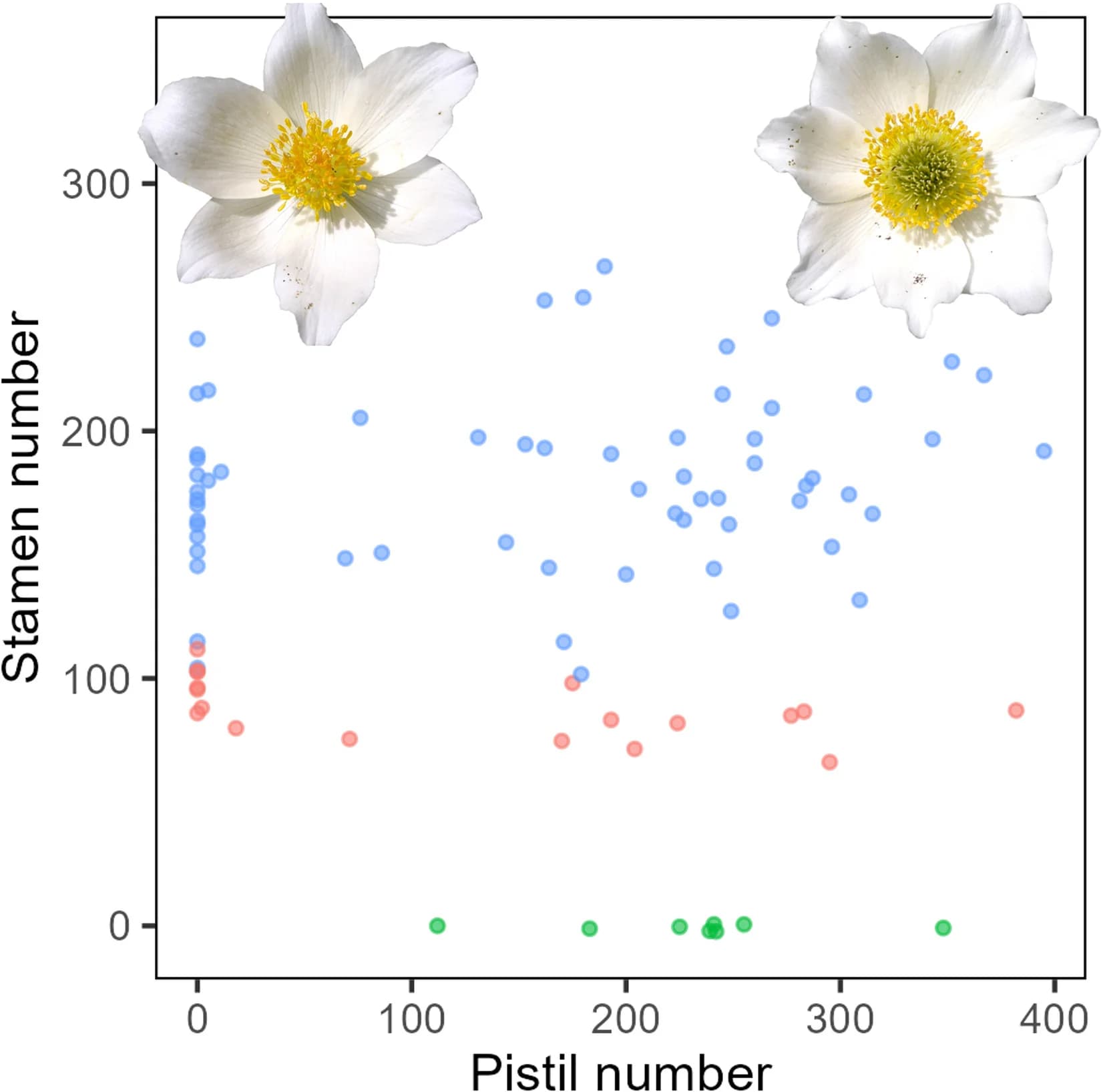 Open access visualization of Scatter Plot, Stamen, Pistil, Single-flowered Individuals, Stamen Removal