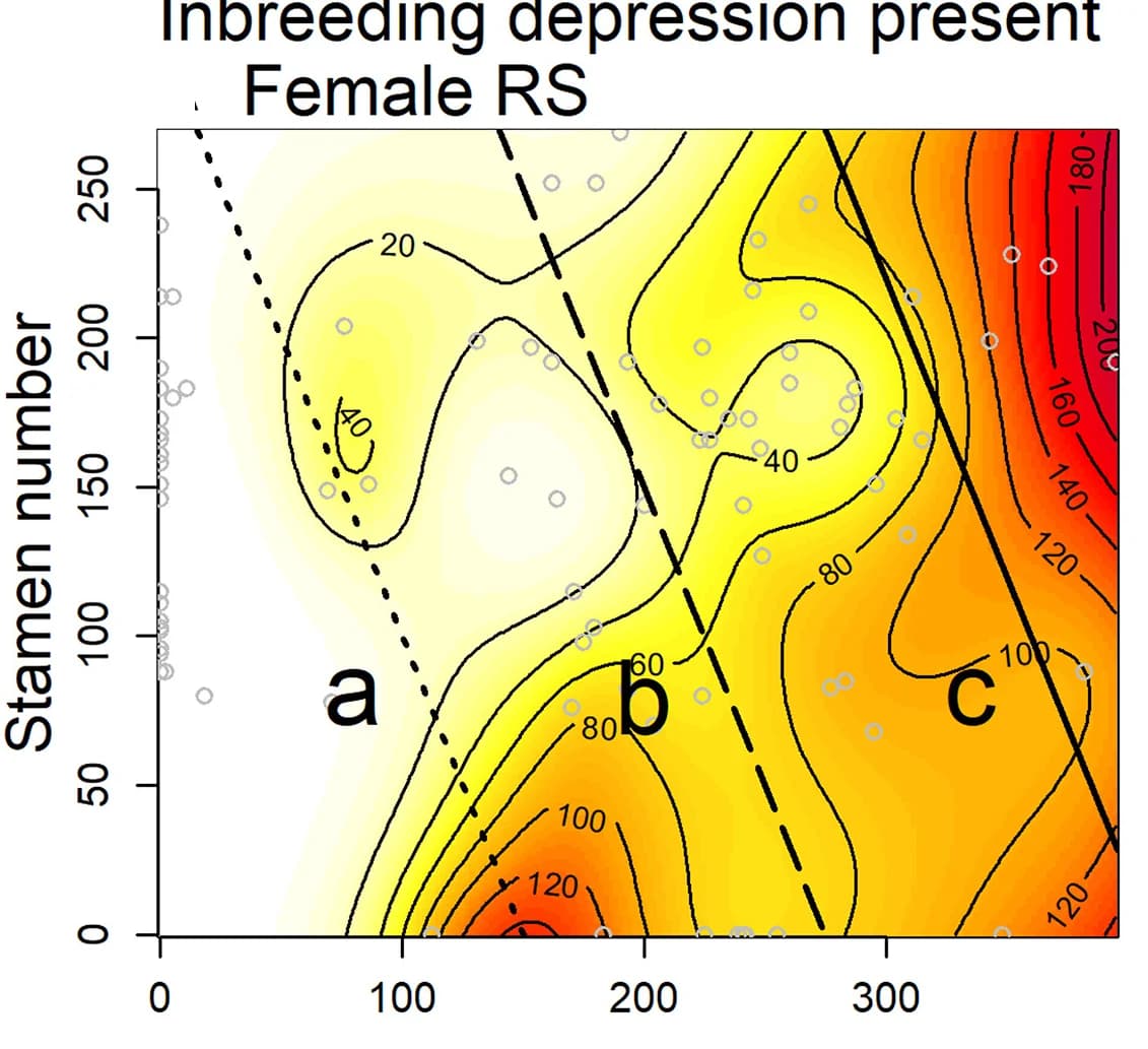 Open access visualization of Scatter Plot, Density Plot, Line Plot, Fitness Landscape, Reproductive Success