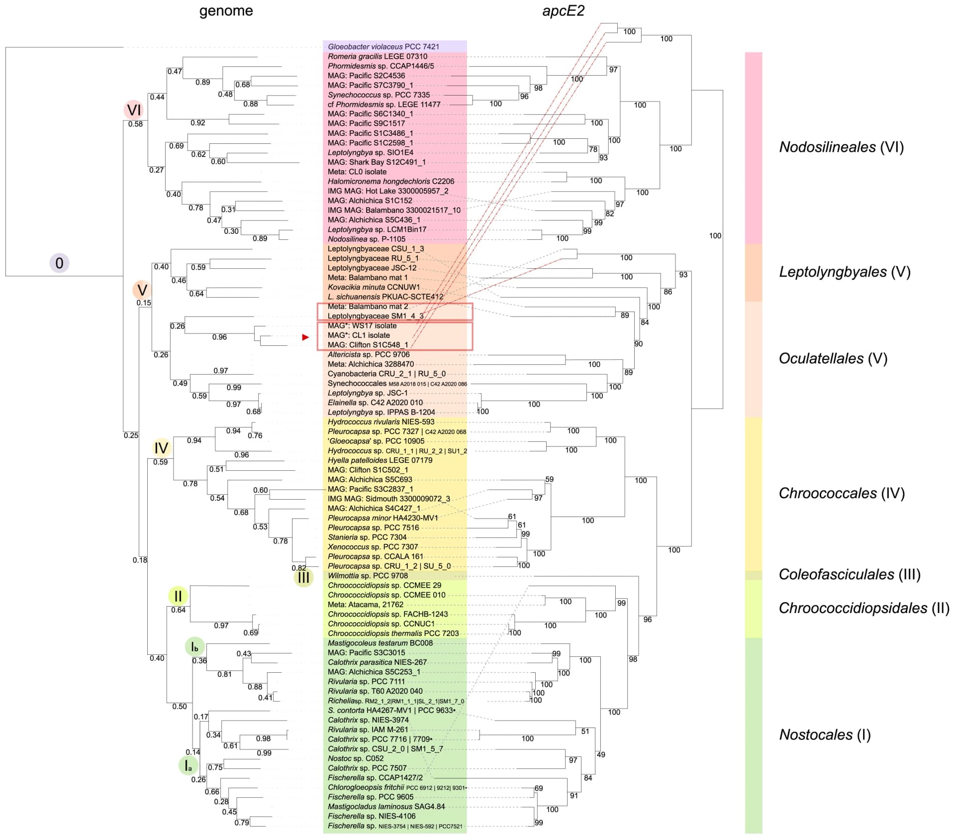 Open access visualization of Network, Pathway, FaRLiP Cluster, Genome Tree, Phylogenies