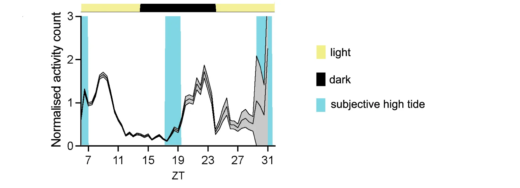 Open access visualization of Line Plot, Error Bars, Swimming Activity, E. pulchra, HCR-FISH