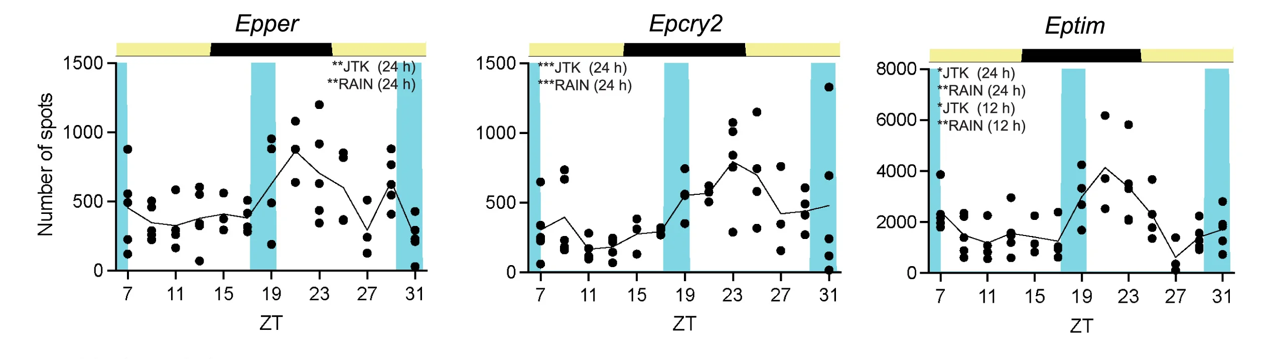 Open access visualization of Scatter Plot, Line Plot, Transcript Abundance, FISH, Epper