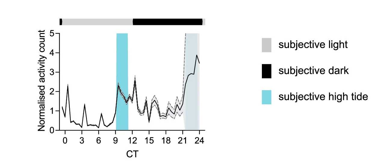 Open access visualization of Line Plot, Error Bars, Swimming Activity, P. hawaiensis, HCR-FISH