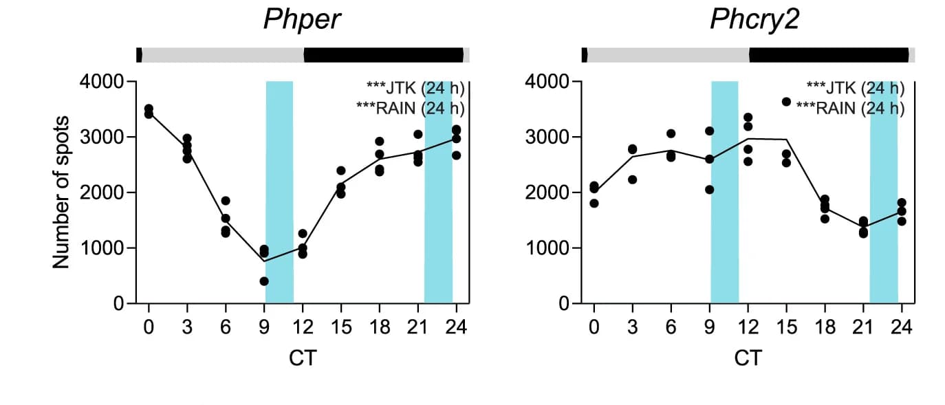 Open access visualization of Line Plot, Scatter Plot, Transcript Abundance, FISH, Phper