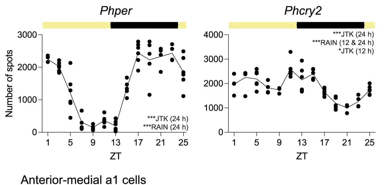 Open access visualization of Line Plot, Scatter Plot, Transcript Abundance, FISH, Phper