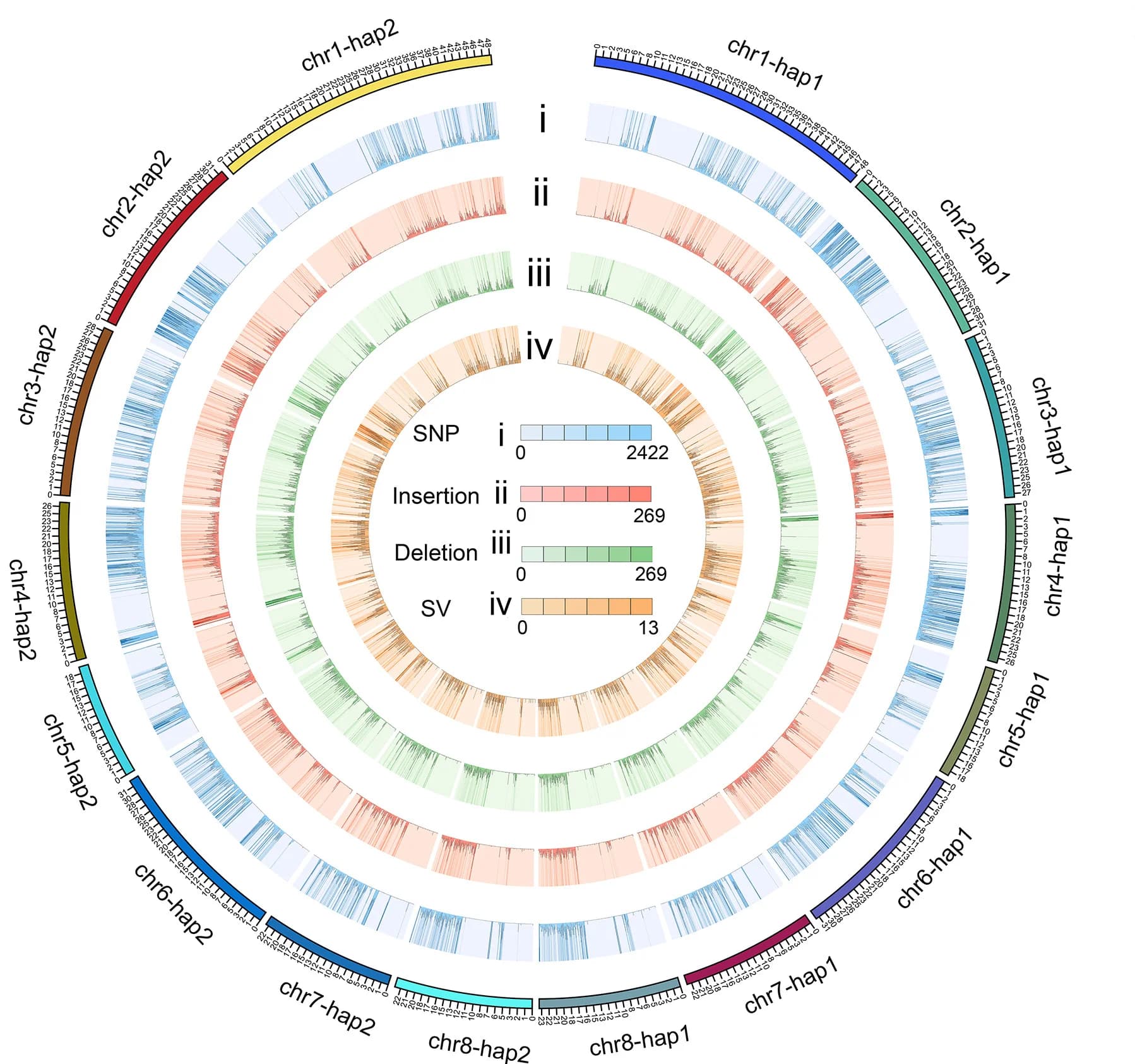 Open access visualization of Chord, SNP, Insertion, Deletion, SV
