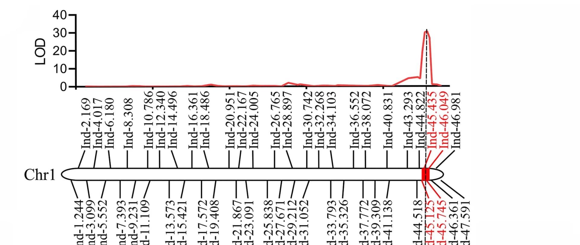 Open access visualization of Line Plot, Locuszoom Plot, QTL Analysis, GPA-resistant Trait