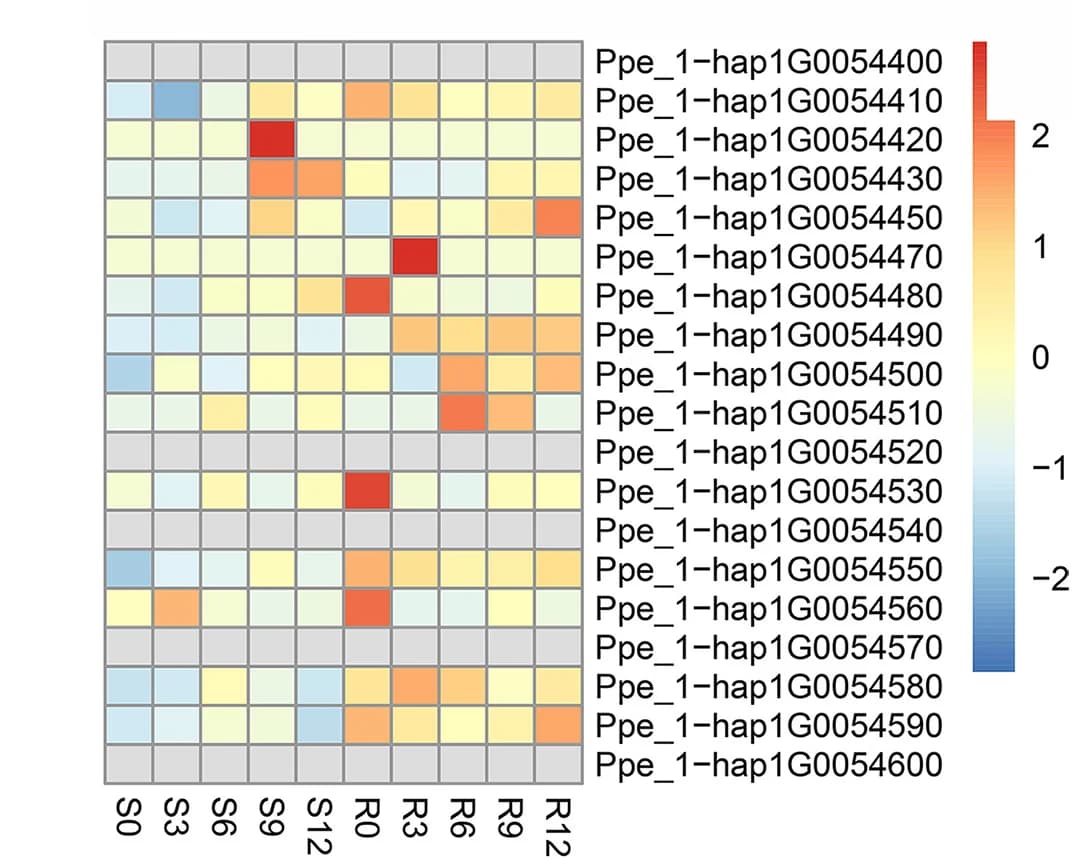 Open access visualization of Heatmap, Expression Patterns, Genes, Significant Signal, Hap1 Genome