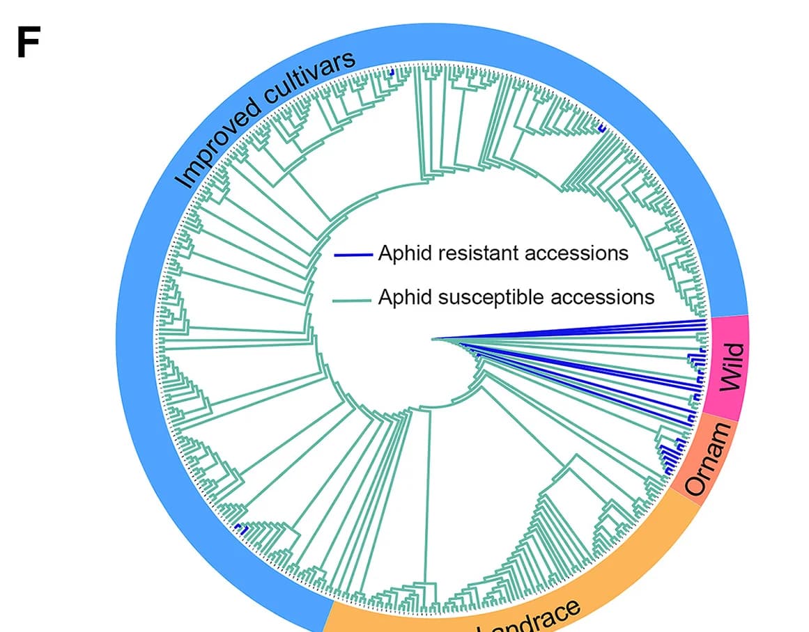 Open access visualization of Network, Pathway, Genomic Synteny, Significant Signal, Hap1